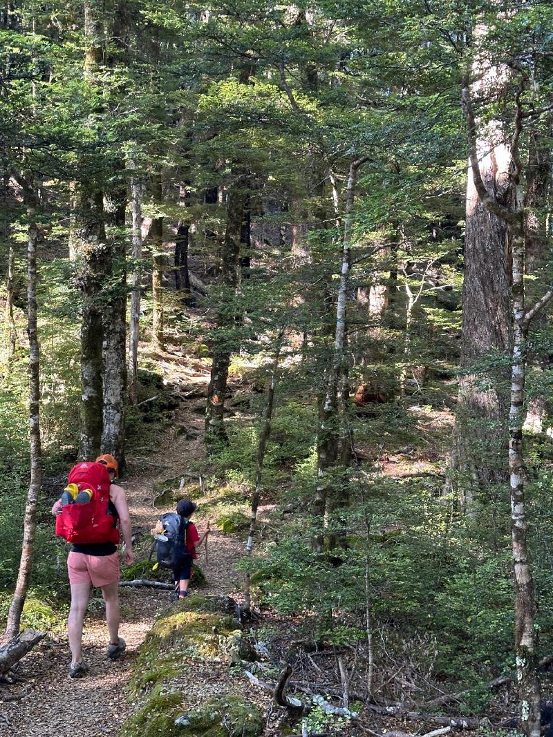 gallery/hikeSpeargrassHut04.jpg