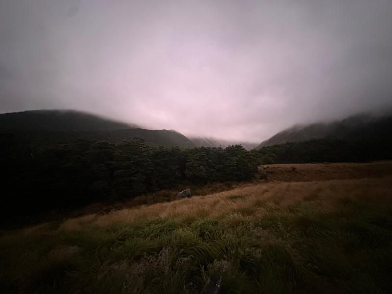 gallery/hikeSpeargrassHut54.jpg