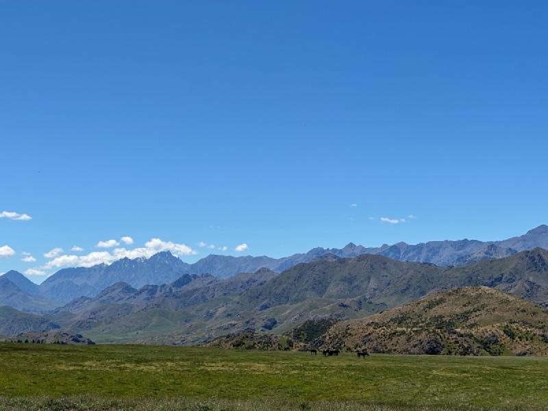 gallery/molesworthDrive_27.jpg