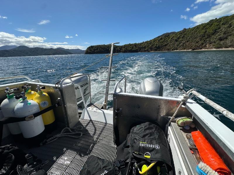 gallery/openWaterDive_06.jpg