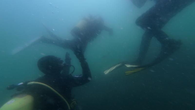 gallery/openWaterDive_14.jpg