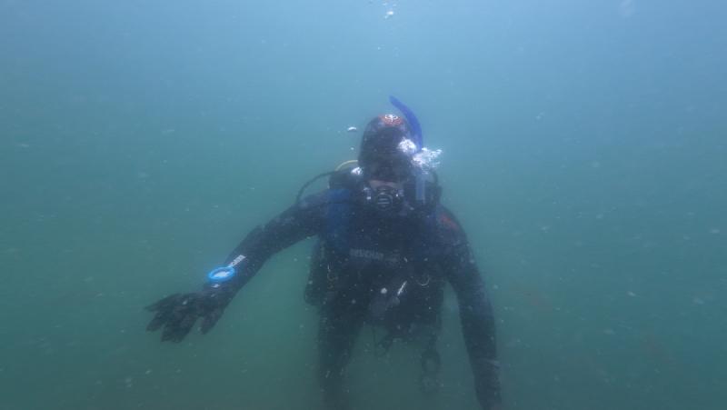 gallery/openWaterDive_20.jpg