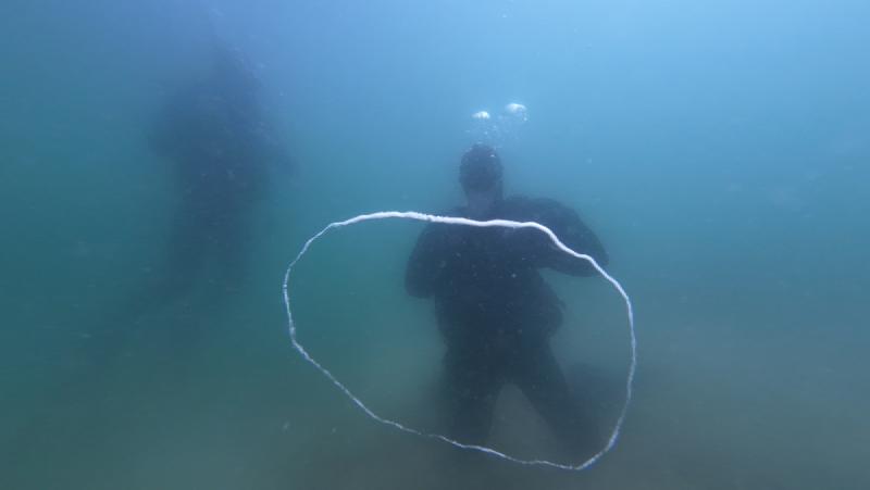 gallery/openWaterDive_31.jpg