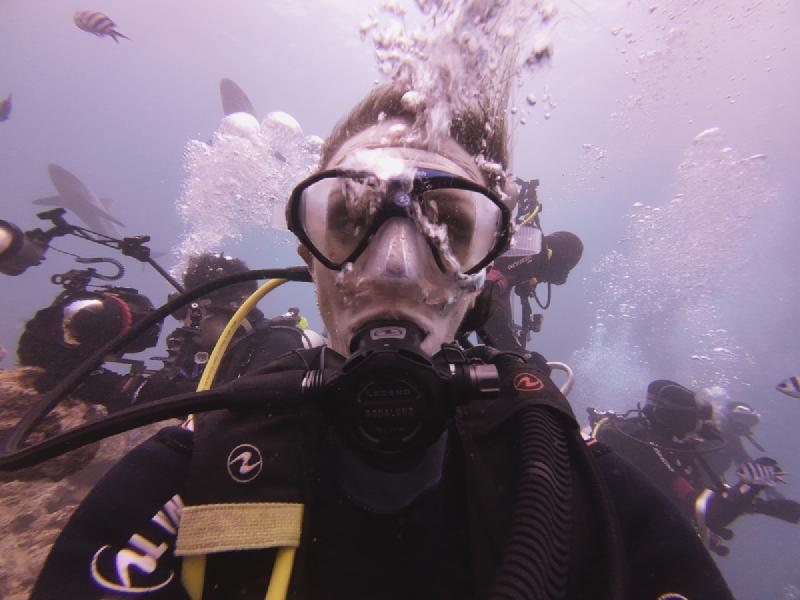 gallery/rachel_shark_19_uw.jpg