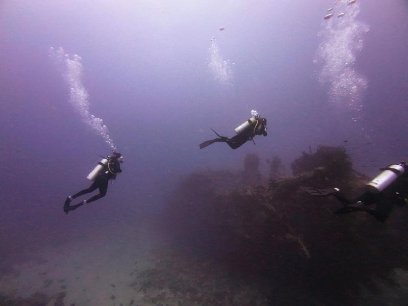gallery/sam_coral_019_uw.jpg