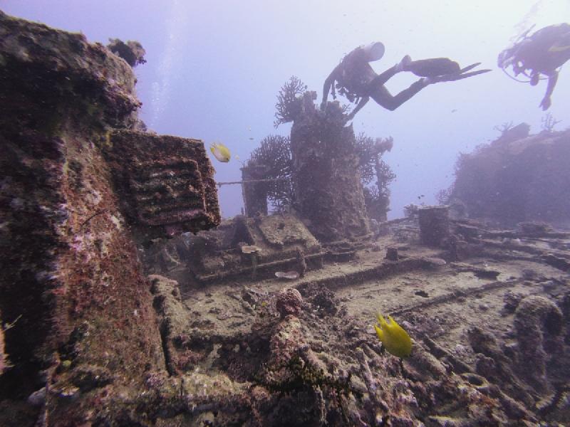 gallery/sam_coral_030_uw.jpg