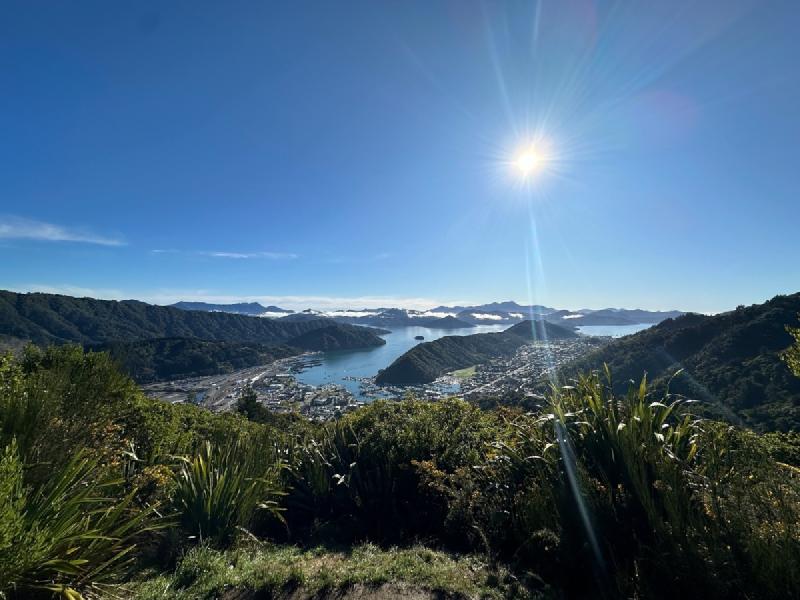 gallery/trohangaHike_4.jpg