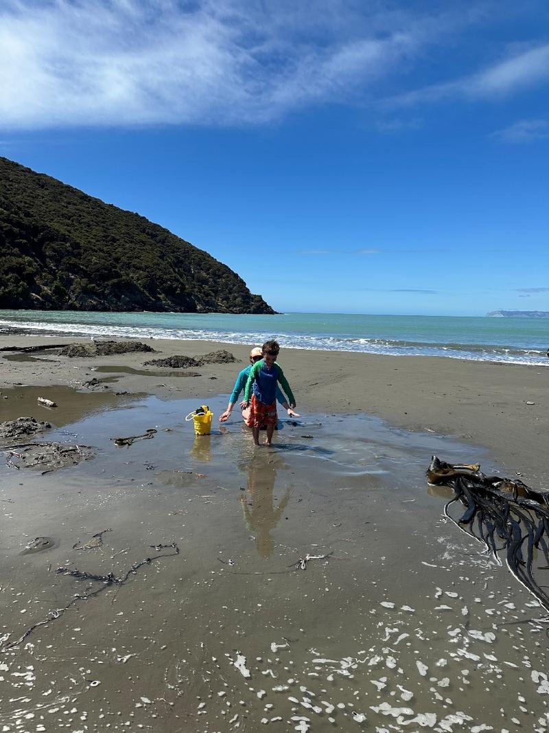 gallery/whitesBayJanuary_03.jpg