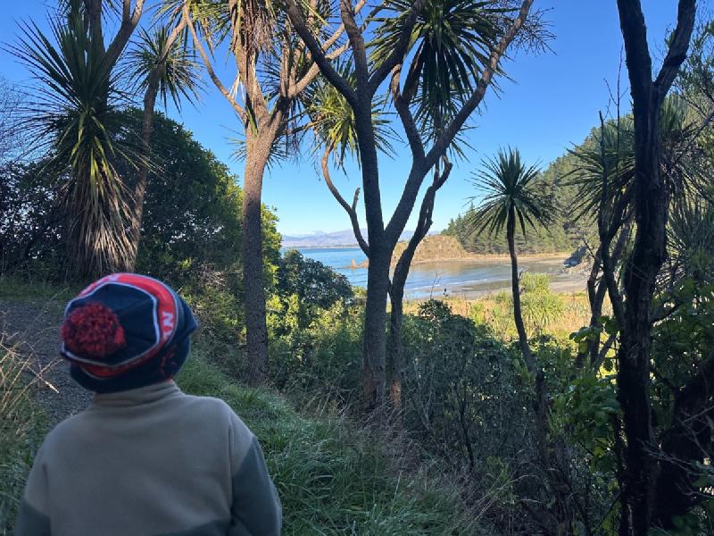 gallery/black_jack_03.jpg