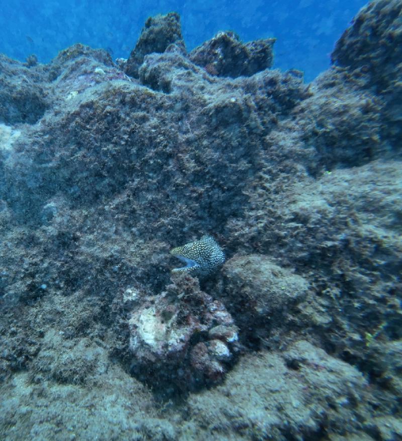 gallery/kauai_373.jpg