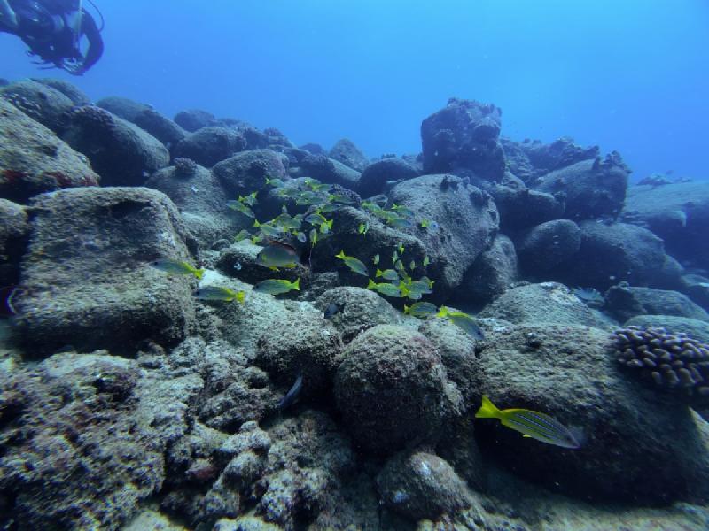gallery/kauai_384.jpg