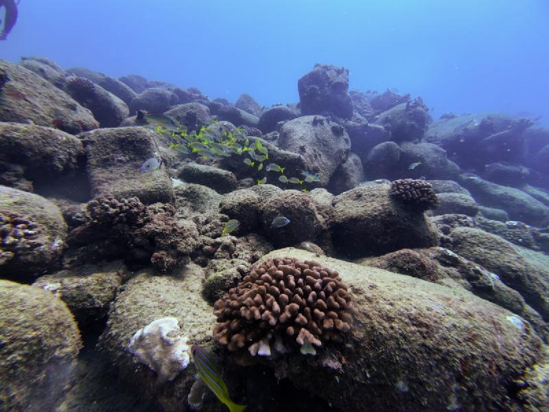 gallery/kauai_385.jpg