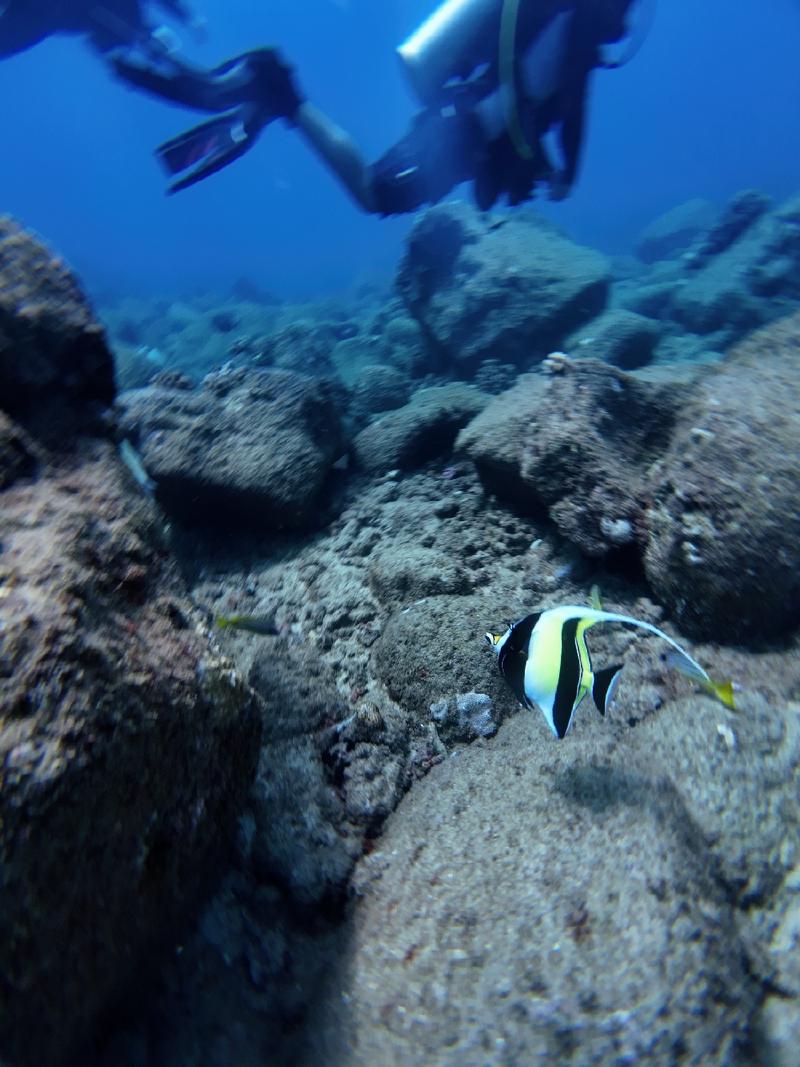 gallery/kauai_409.jpg