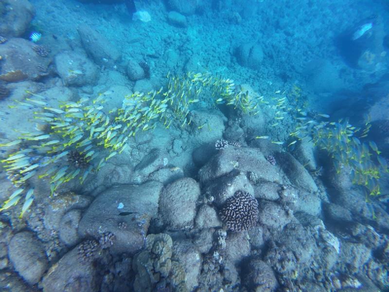 gallery/kauai_470.jpg