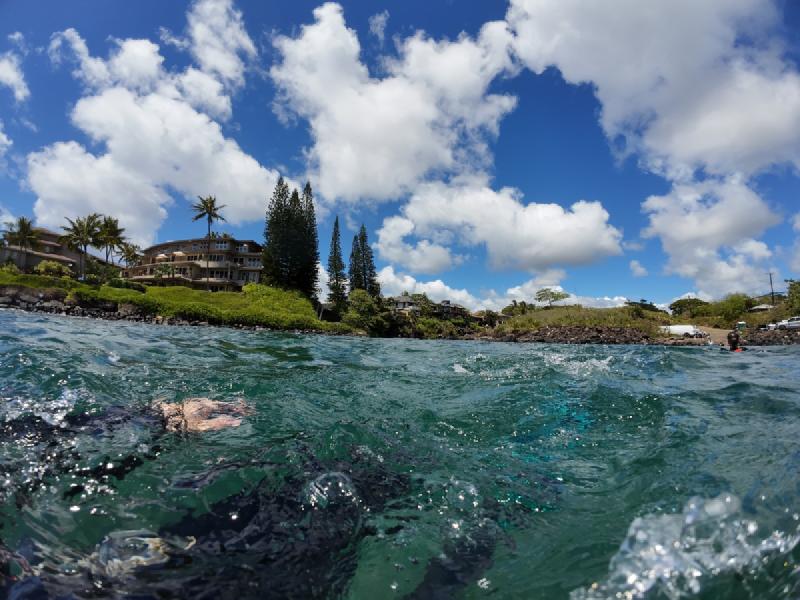 gallery/kauai_481.jpg