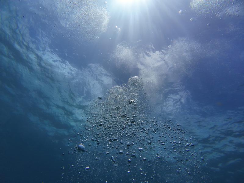 gallery/kauai_499.jpg