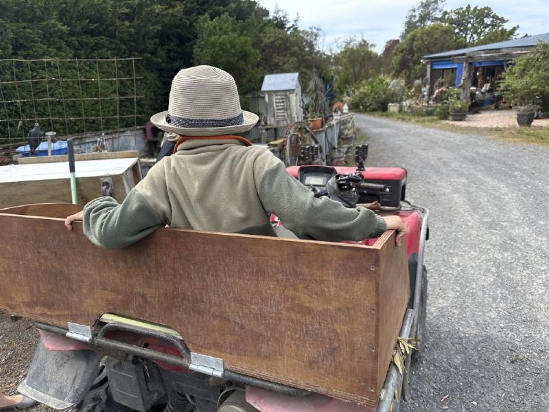 gallery/kaikura_055.jpg