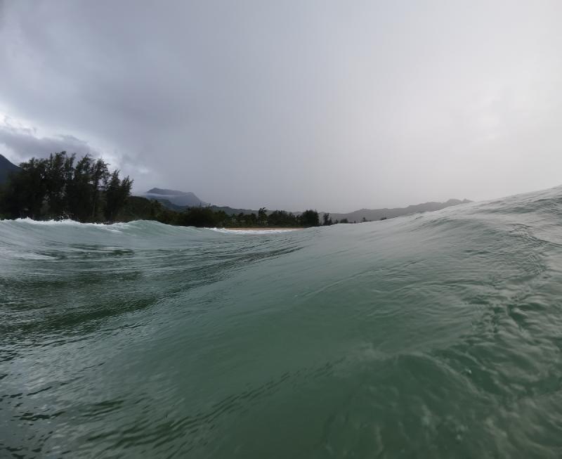 gallery/kauai_142.jpg