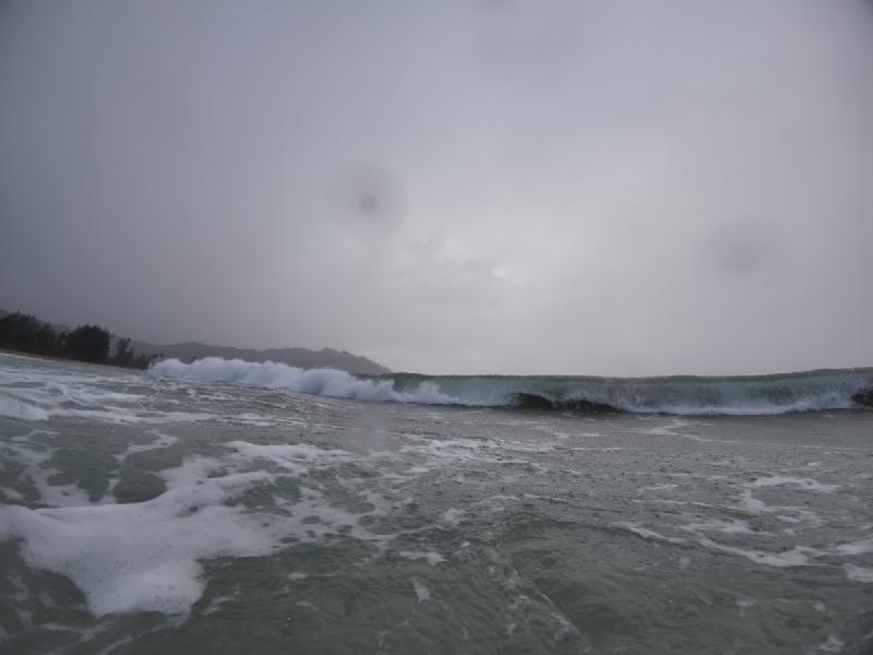 gallery/kauai_144.jpg