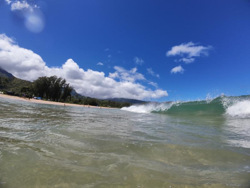 gallery/kauai_229.jpg