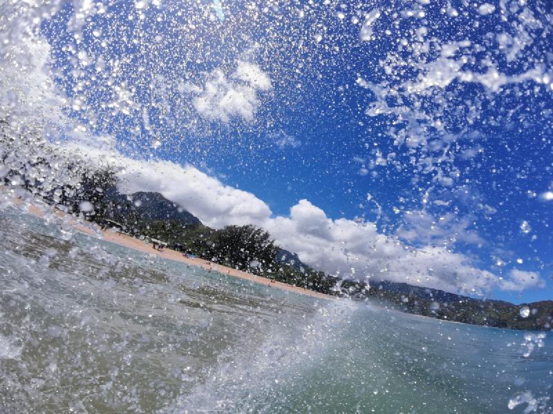 gallery/kauai_231.jpg