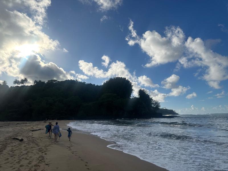 gallery/kauai_013.jpg