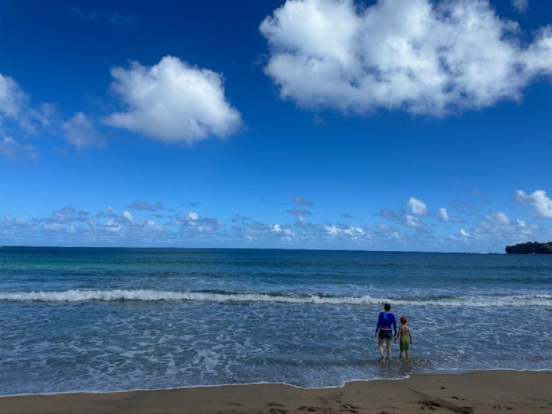 gallery/kauai_015.jpg