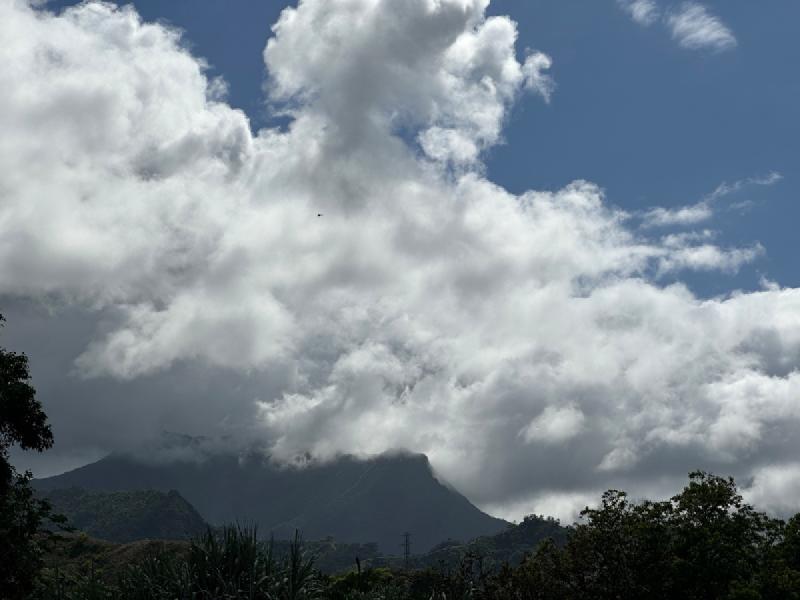 gallery/kauai_020.jpg