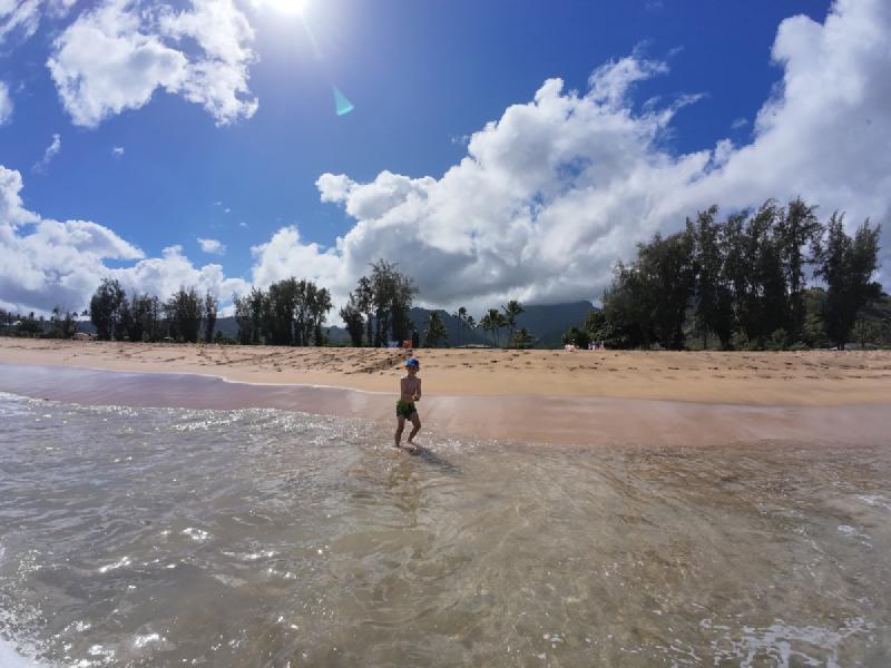 gallery/kauai_034.jpg