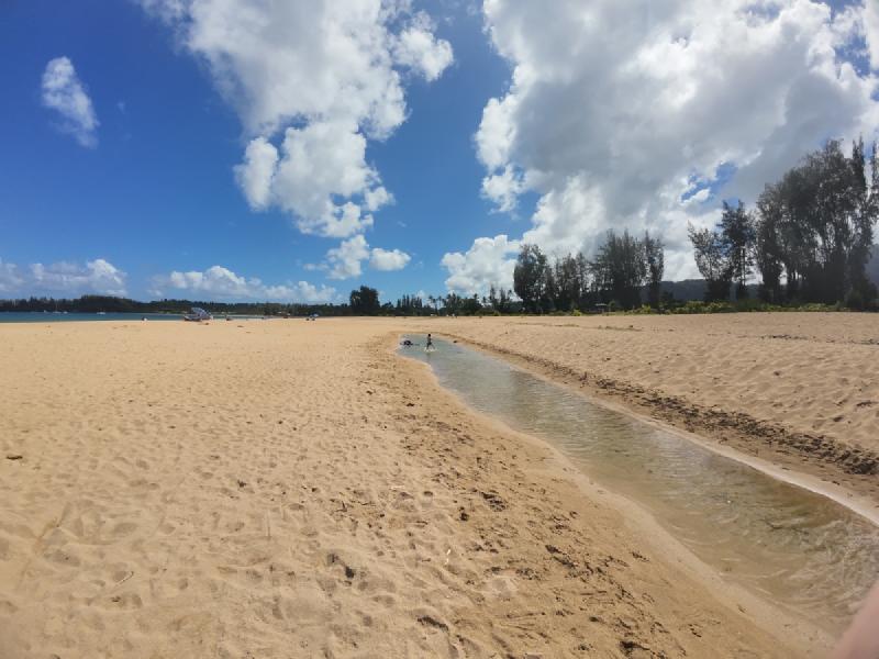 gallery/kauai_068.jpg