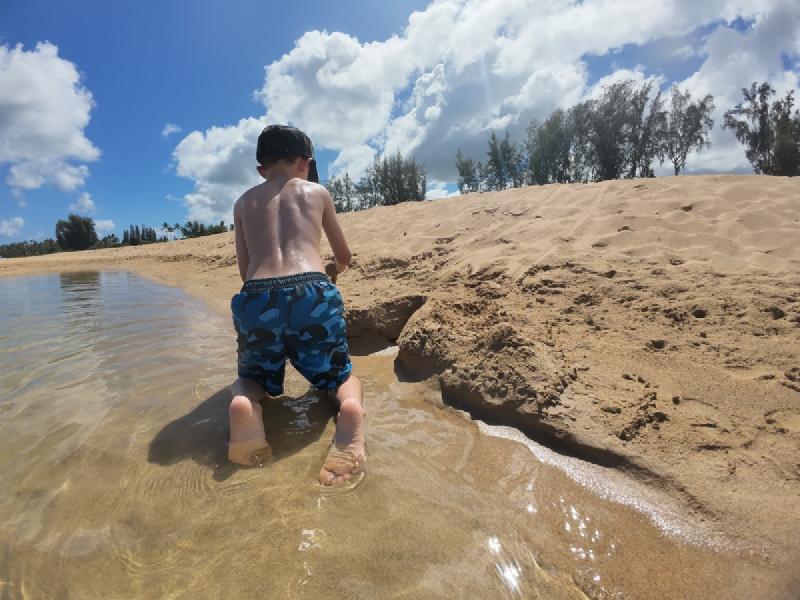 gallery/kauai_072.jpg