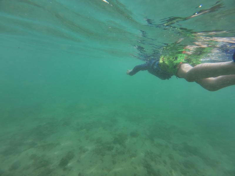gallery/kauai_154.jpg