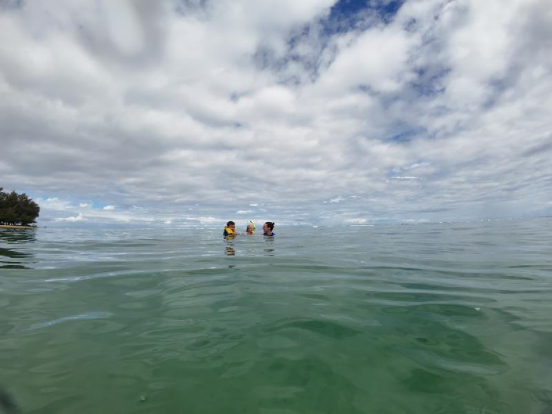 gallery/kauai_158.jpg