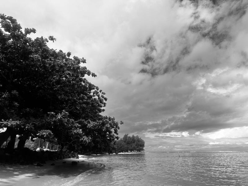 gallery/kauai_172.jpg
