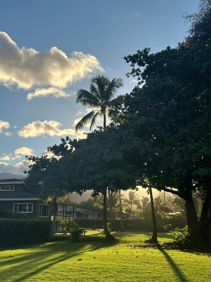 gallery/kauai_187.jpg