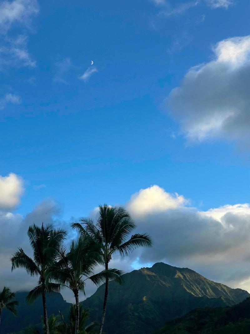 gallery/kauai_196.jpg