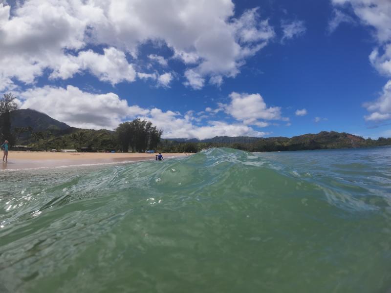 gallery/kauai_257.jpg