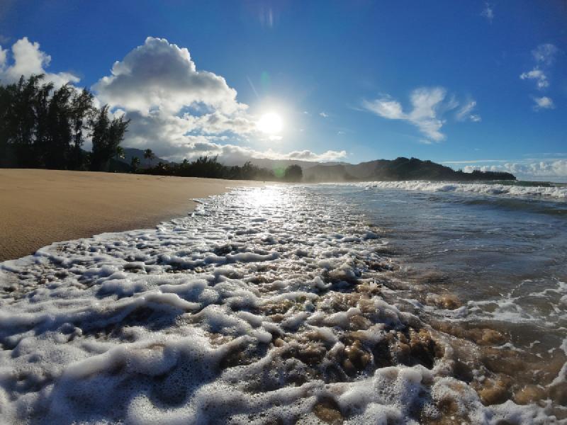 gallery/kauai_281.jpg
