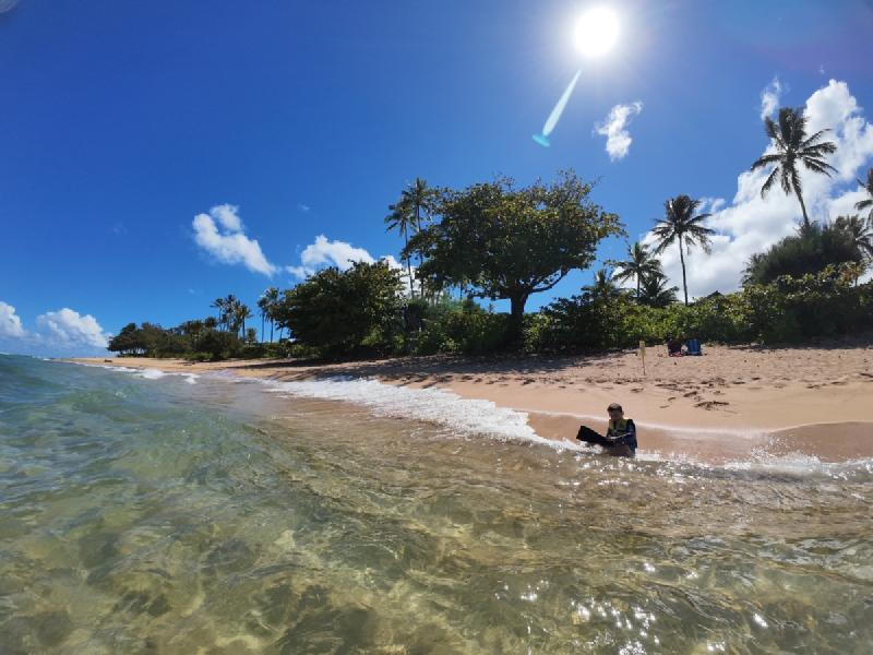 gallery/kauai_329.jpg