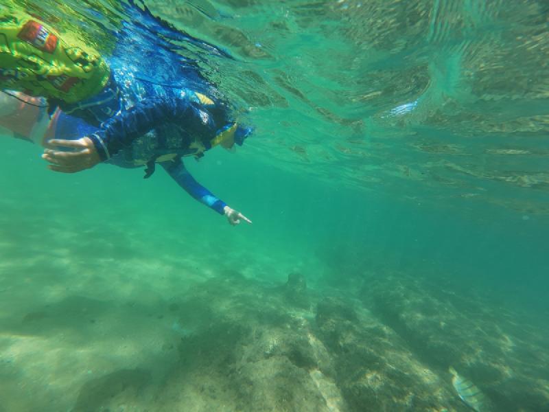 gallery/kauai_334.jpg