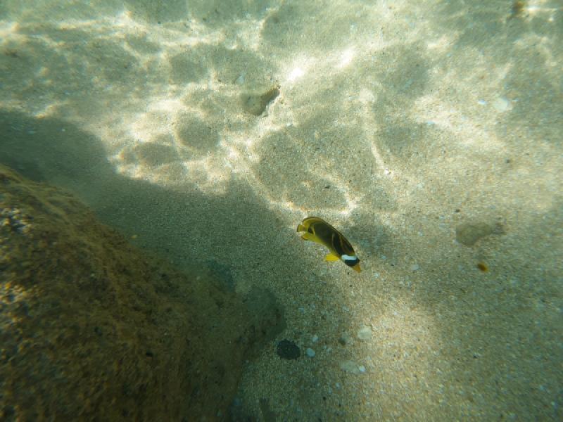 gallery/kauai_339.jpg