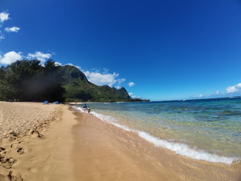 gallery/kauai_350.jpg