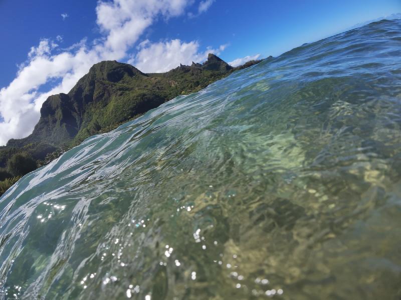 gallery/kauai_364.jpg