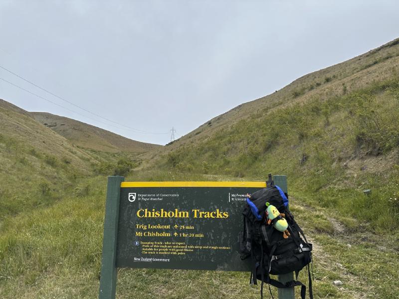 gallery/molesworth_2025_03.jpg