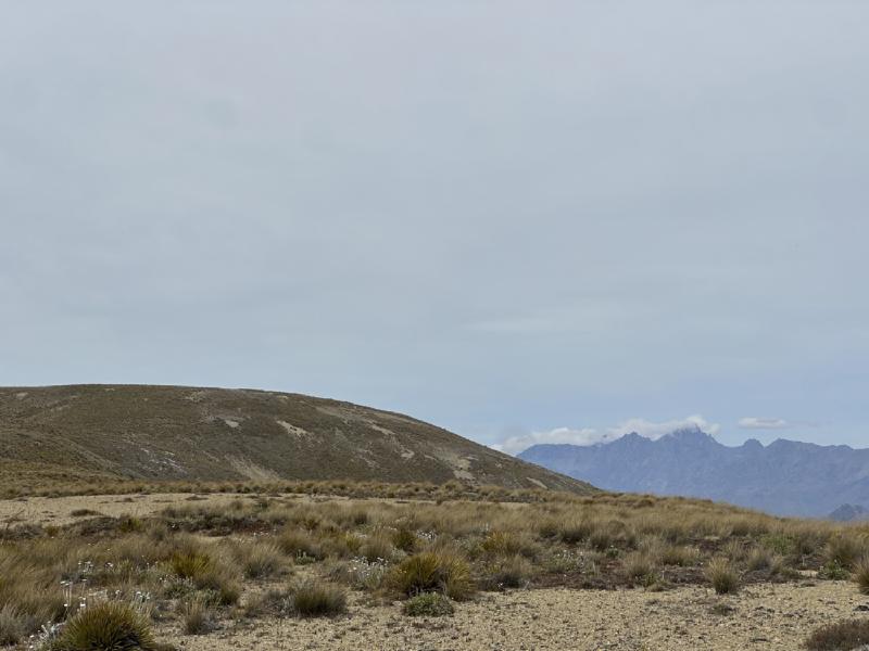 gallery/molesworth_2025_05.jpg