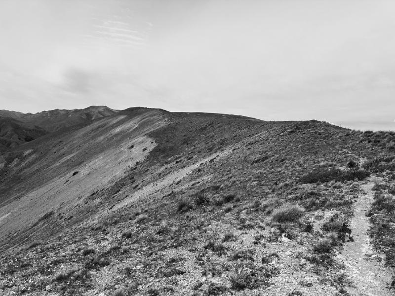 gallery/molesworth_2025_06.jpg