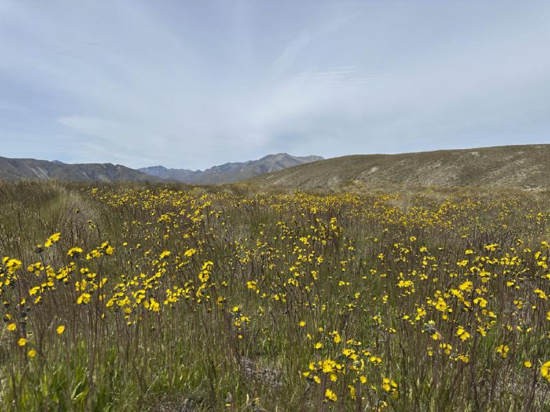 gallery/molesworth_2025_07.jpg