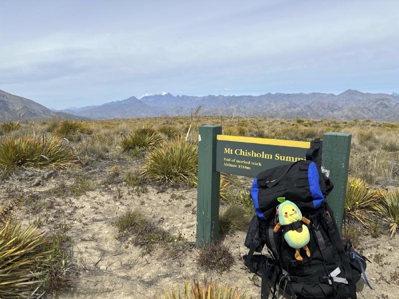 gallery/molesworth_2025_08.jpg
