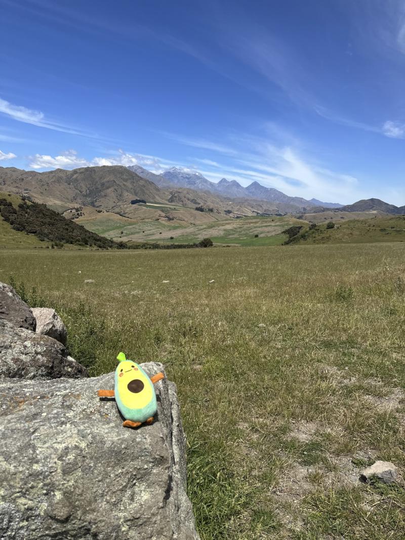 gallery/molesworth_2025_13.jpg