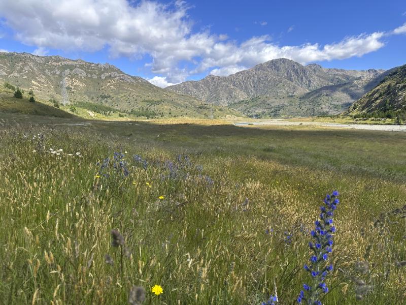 gallery/molesworth_2025_16.jpg